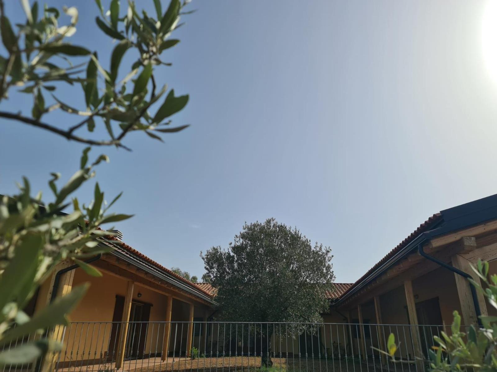 Agriturismo Corte Degli Ulivi Capoterra Exterior photo