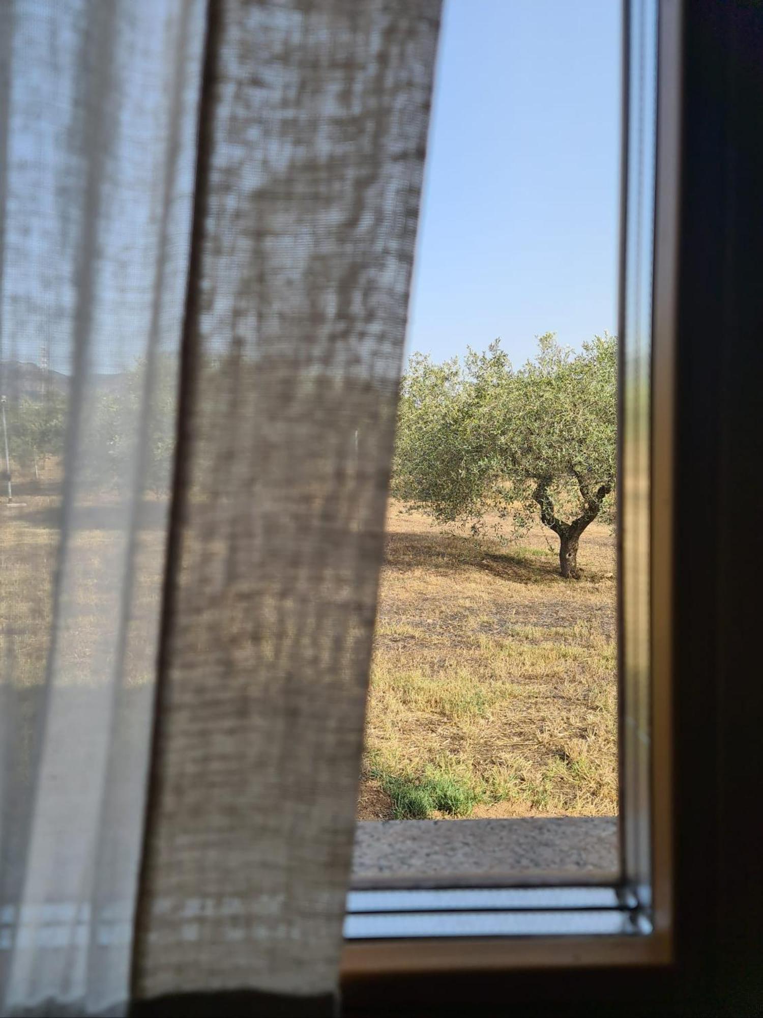 Agriturismo Corte Degli Ulivi Capoterra Exterior photo
